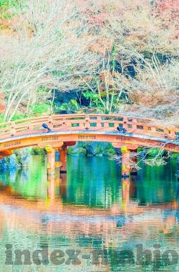 足球比分1.5 2-足球比分1.5与2，赛场风云背后的数据密码